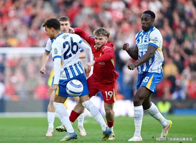 布莱顿虽在客场，但1-0击败维尔港，添光彩